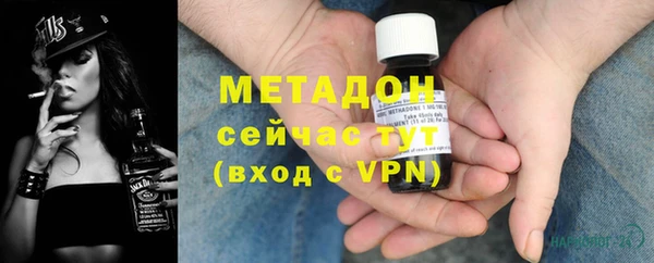 индика Арсеньев