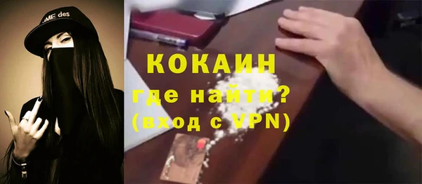индика Арсеньев