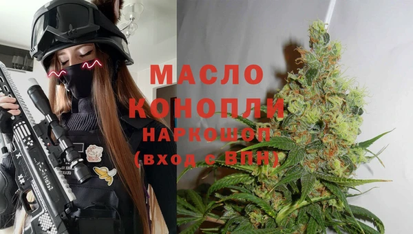 индика Арсеньев