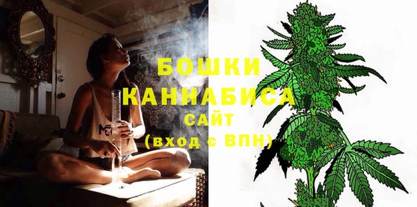 индика Арсеньев